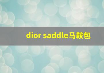 dior saddle马鞍包